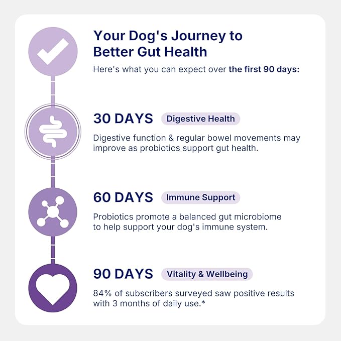 Probiotics for Dogs,Dog Gut Health Probiotics,Gastrointestinal Health Promotes Digestion and Nutrient Absorption, 60 Soft Chews