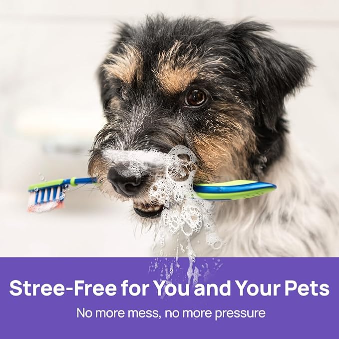 HICC PET Dog Dental Care Spray, Vet-Recommended Breath Freshener & Teeth Cleaning Spray, Eliminate Bad Breath, Relieve Gum Redness & Infections, Reduce Plaque & Tartar, No Brushing, 5.1 Fl Oz