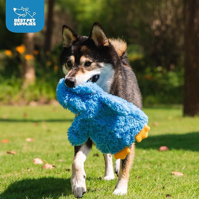 Best Pet Supplies Interactive Squeaky Dog Chew Toy, Ideal Dog Toys for Chewers, Small, Medium & Large Dogs, and Fetch Lovers - Crinkle Chicken (Blue), Large