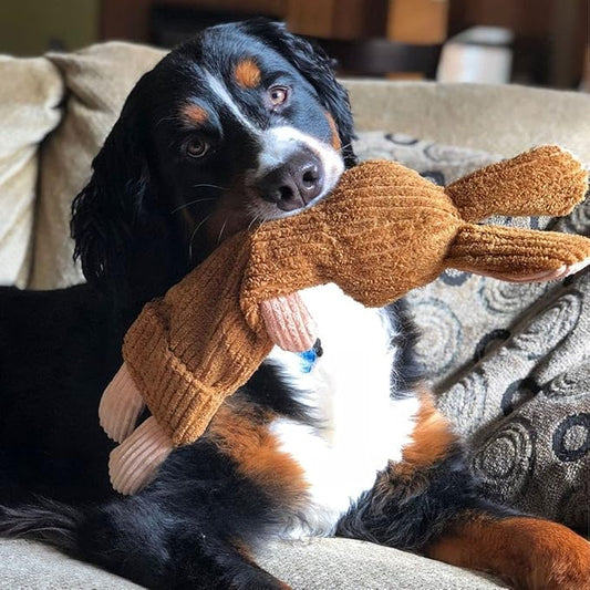 SmartPetLove Snuggle Puppy Tender-Tuffs - Whisper Rabbit Water Bottle Dog Toy - Bottle Cover Dog Toy