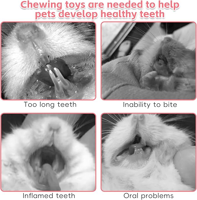 PINVNBY 15 PCS Hamster Lava Blocks, Lava Bites Chew Toys, Mineral Calcium Stone Teeth Grinding Toys for Small Animal Rabbits Guinea Pig Rats Bunny Hamsters Chinchilla