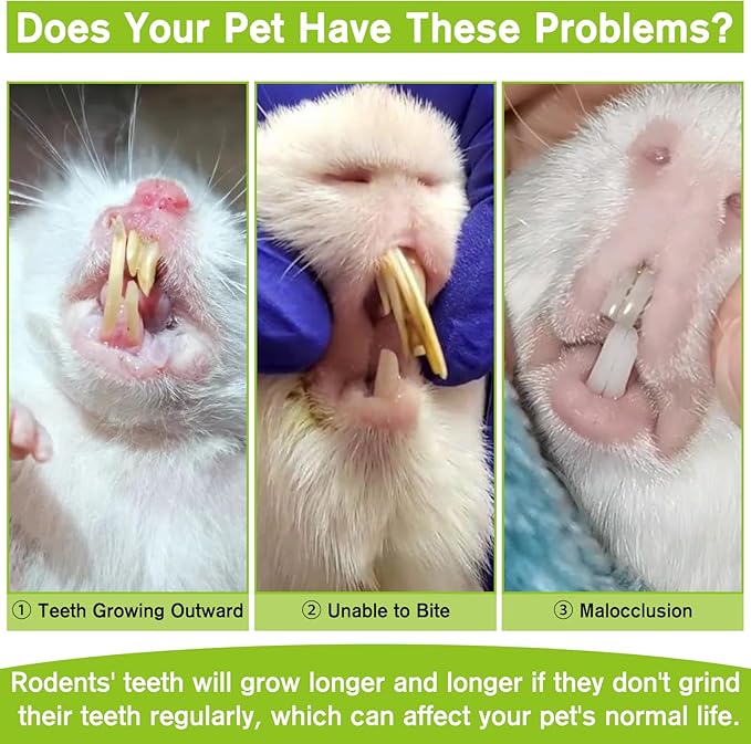 Fhiny Peapods Hamster Chew Toys, 12 PCS Natural Timothy Grass Carrot Guinea Pig Chew Toys for Teeth Handmade Small Animal Molar Snacks Dental Care for Bunny Chinchilla Hamster Gerbil Boredom Breaker
