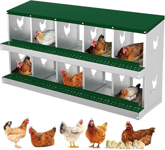 10 Compartments Chicken Nesting Box,Metal Chicken Egg Laying Box, Nesting Boxes,Easy Egg Collection, Easy Cleaning（Green）