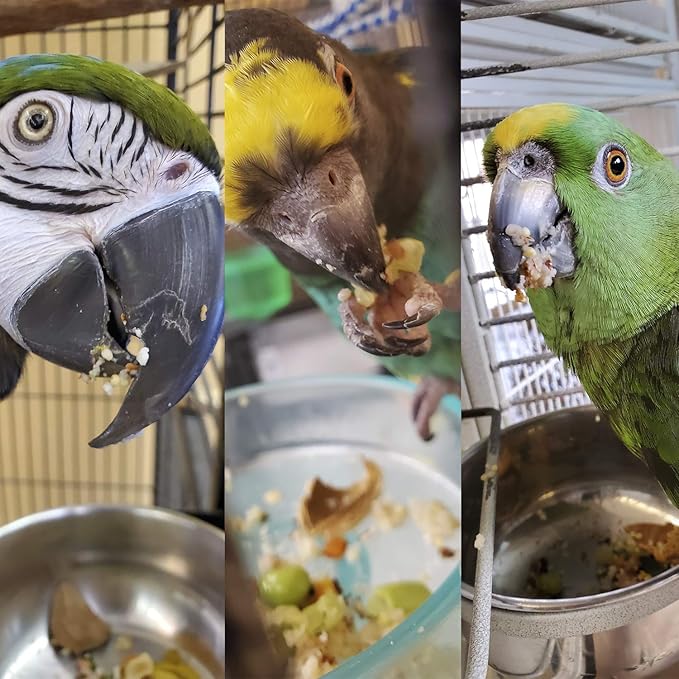 Parrot Food - Parakeet & Cockatiel Food - Cooks in 3-15 min w/Natural & Organic Grains, Legumes, Non-GMO Fruits, Vegetables & Healthy Spices