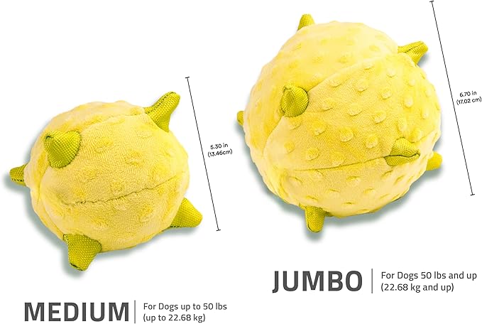 Playology Dog Toys | Puppy Toy Plush Sensory Ball for Dogs and Puppies for Dogs and Puppies | Jumbo Chicken Scented Toy - Easy to Clean and Made from Non Toxic Materials