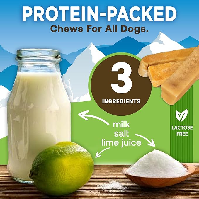 EcoKind Premium Gold Yak Cheese Himalayan Dog Chews, Dog Treats Large Breed, All Natural, High Protein Dog Chew, Cheese, Large - 1 Chew