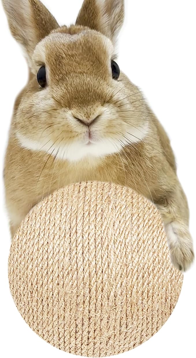KEYIDE Extra Large Rabbit Ball Toy, 4.7in Natural Sisal Bunny Scratch Ball, Interactive Small Animal Toys for Chinchilla Guinea Pig Rat Playing Scratching Biting