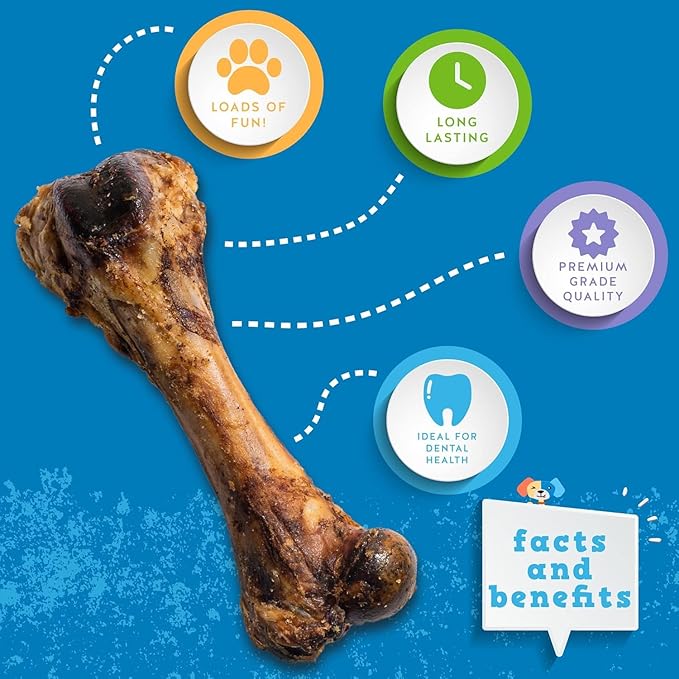 Jack&Pup Pork Femur Bones for Dogs Long Lasting | Gourmet Beef Dog Bones | Single Ingredient, Savory, Rawhide Free (2 Pack)