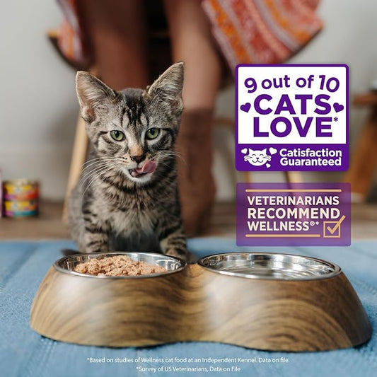 Wellness CORE Signature Selects Shredded Adult Wet Cat Food, Natural, Protein-Rich, Grain Free, 2.8 Ounce, 12 Pack (Chicken & Turkey)