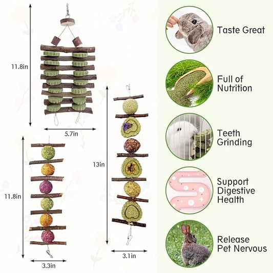 Hamiledyi Bunny Chew Toys Rabbit Hanging Toys for Teeth Grinding Rabbit Toys Natural Fruit Sticks Timothy Grass Cakes Chew Toys and Treats Improve Dental Health for Guinea Pig Hamster Chinchilla