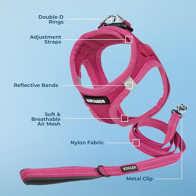 Voyager Step-in Air Cat Harness - All Weather Mesh Step in Vest Harness for Small and Medium Cats by Best Pet Supplies - Set (Fuchsia), XXS