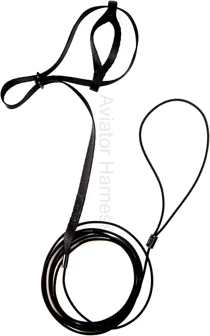 The AVIATOR Pet Bird Harness and Leash: Mini Black