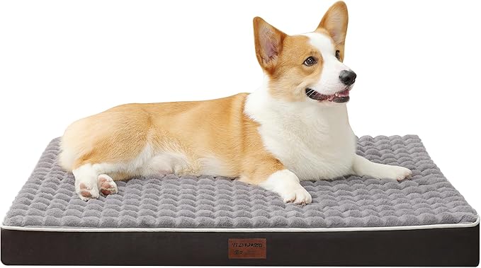 Dog Bed, Waterproof Orthopedic Dog Beds for Large/Medium/Small Dogs, Dog Crate Pad with Removable Washable Pet Mat Cover, Non-Slip Bottom (M(30''x20''x3''), Grey Side)