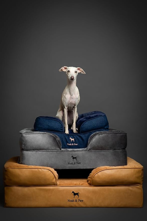 NOAH & PAW Small Dog Bed, 20x15x8 Inch, Cat Bed for Indoor Cats, Orthopedic Eggshell Memory Foam Infused with Cooling Gel, Waterproof Inner Cover Machine Washable (Denim Collection)