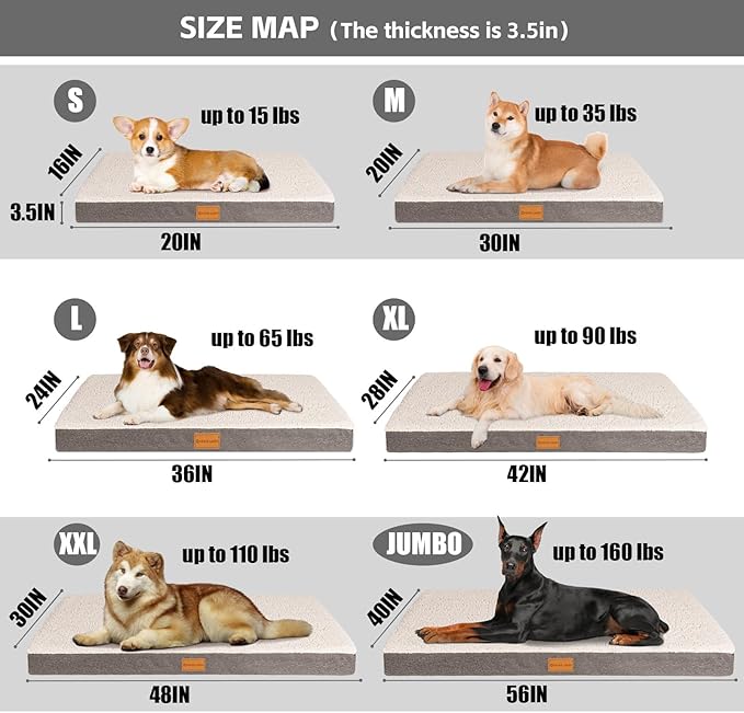 Patas Lague Orthopedic Dog Bed Medium Size Dog 30''X20'', Soft Comfortable Waterproof Egg Crate Foam Medium Pet Crate Beds Mat with Removable Washable Cover and Non-Slip Bottom, Ivory