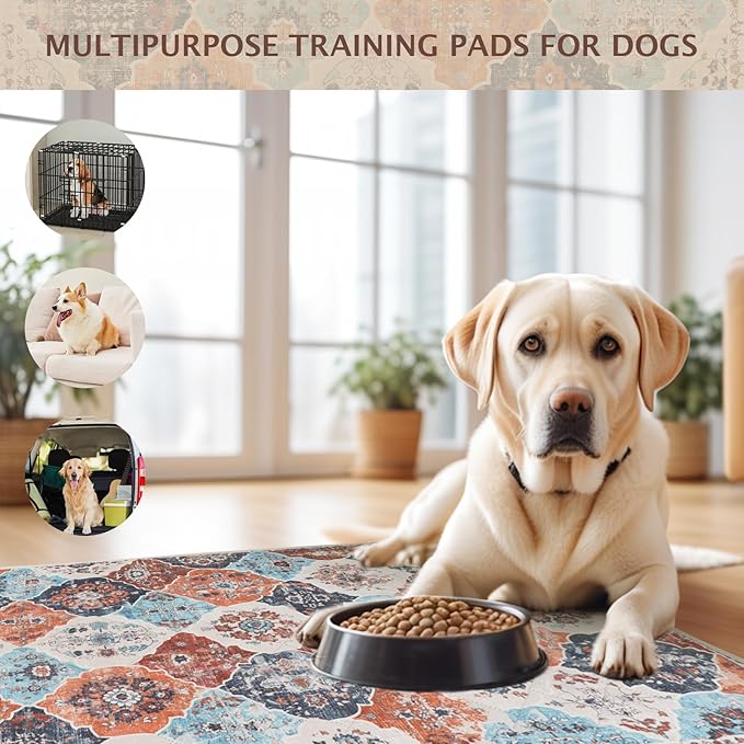 IEUUMLER Washable Pee Pads for Dogs, 2 Pack Reusable Pee Pads for Dogs Non-Slip Grip, Super Absorbent Waterproof Puppy Pads for Potty Training, Playpen, Crate, Whelping Box EU011 (Orange,36" x 41")