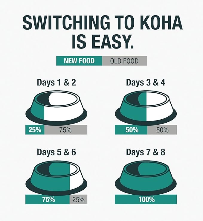 KOHA Limited Ingredient Diet Beef Entrée for Dogs - Grain Free Wet Dog Food with No Fillers - Sensitive Stomach Beef Dog Food 13 oz Pack of 12