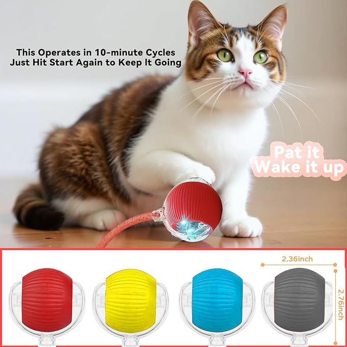 Interactive Cat Toys for Indoor Cats, Automatic Cat Toy with Elastic Mesh Tail, Electric Rolling Ball on Carpet, Chirping and Motion Activate Cat (Gray)