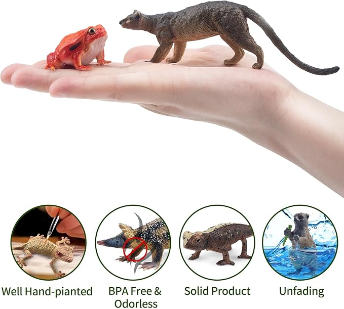 Toymany 12PCS Madagascar Animal Figurines Set, Realistic Lemur Jungle Animal Toys Set Includes Chameleon, Tortoise,Gecko,Fossa,Sifaka -Educational Forest Animals Figure Toy Collection for Kids Adults