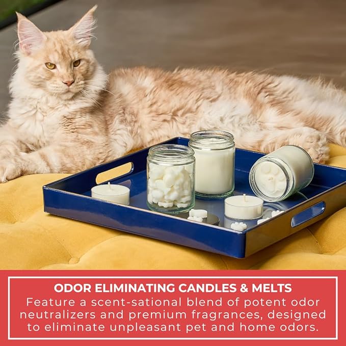 9oz Pet Odor Eliminator Deodorizer Candle, Long-Lasting Spiced Apple Scented, Non Toxic, Natural Plant-Based Wax Blend