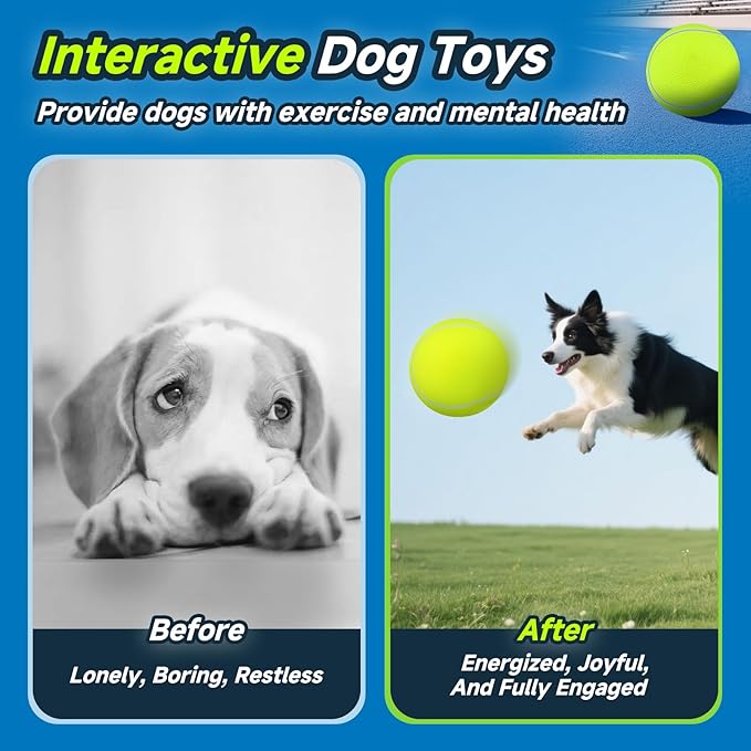 HETOO Giant Tennis Balls for Dogs: 9.5 inch Large Dog Toys- Outdoor Herding Dog Toys Balls- Big Dog Tennis Ball for Small Medium Large Dogs- Pet Toys Birthday Gift- Yellow