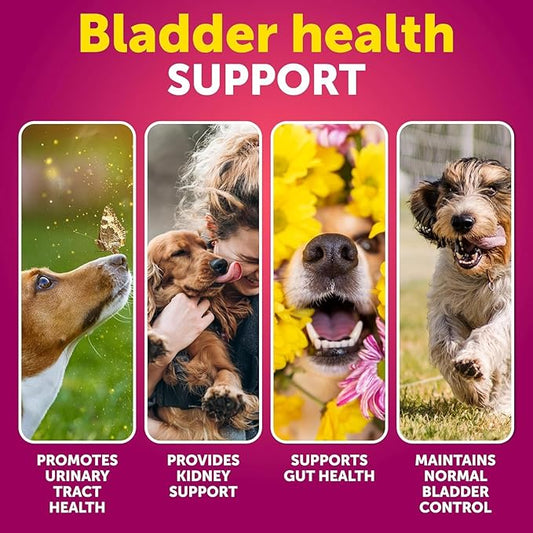 Dog UTI Treatment - Cranberry Supplement & Bladder Control for Dogs - Urinary Tract Infection Incontinence Pill, Bladder Stones - UTI Medicine Treats - 70 Soft Chews for Kidney Support with Fish Oil