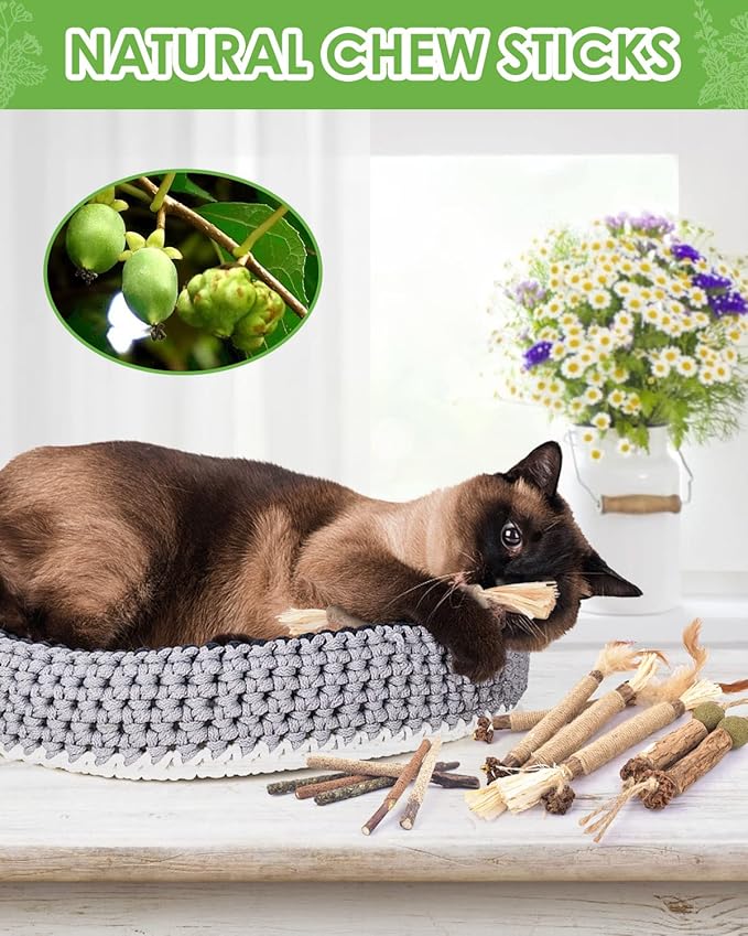TINDTOP Catnip Chew Toys for Cats, 12 Pack Natural Silvervine Sticks for Kittens Teeth Cleaning, Matatabi Dental Care, Increase Appetite, Calm Cat Anxiety and Stress, Aggressive Chewers Cat Dental Toy