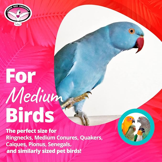 Super Bird Creations SB448 Katy's ABC Jr. Interactive Bird Toy - Durable Chew Toy, Non-Toxic Textured ABC Blocks, Safe 'Polly' Rope, Ideal for Parrots & Ringnecks - Medium Bird Size - 7" x 5" x 1.5"