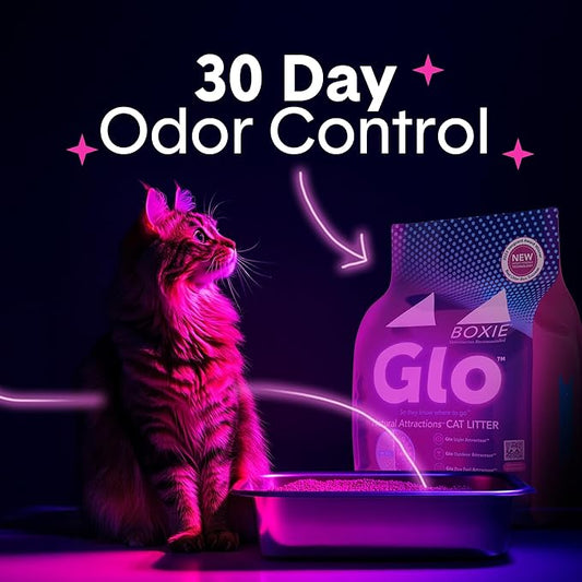 Boxie Glo Clumping Clay 30 Day Odor Control Cat Litter, 99.9% Dust-Free, Low Tracking, UV Light Attractant, 28 lb