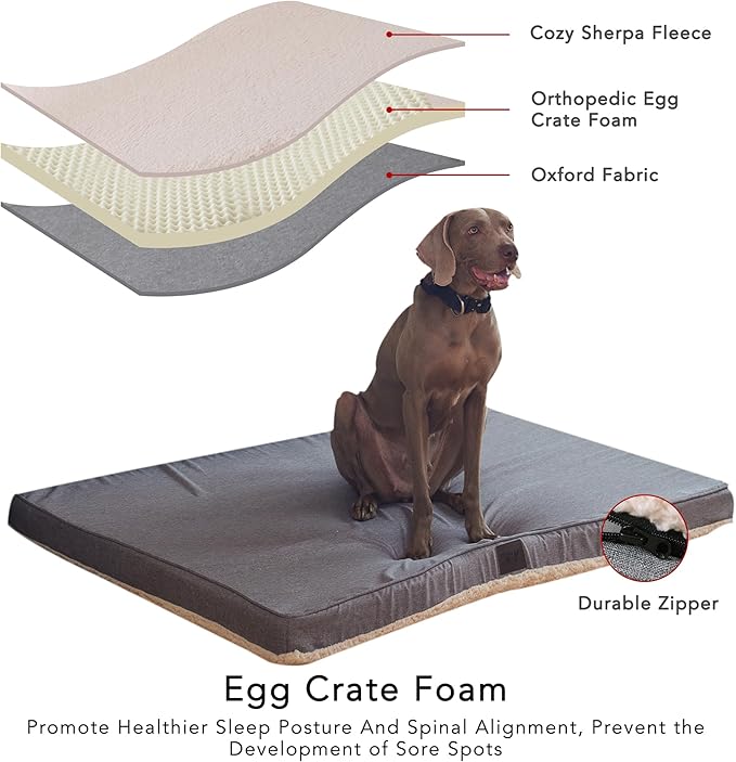 DaysU Large Dog Bed for Large Dogs, Orthopedic Dog Beds with Removable Washable Cover, Egg Crate Foam Pet Bed Mat, Grey, Suitable for Dogs Up to 65 Ibs, 36x27x3in