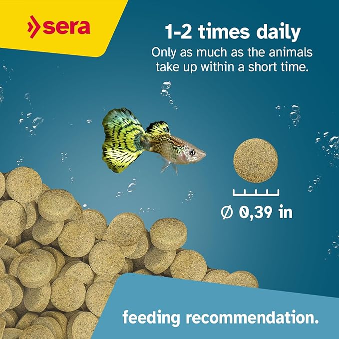 Sera O-Nip Nature 24 Tabs 0.6 oz | Complete Feed for All Ornamental Fish | Adhesive Tablets Stick to The Aquarium Glass | High Protein | No Dyes & Preservatives | with Bloodworms, Krill & Tubifex