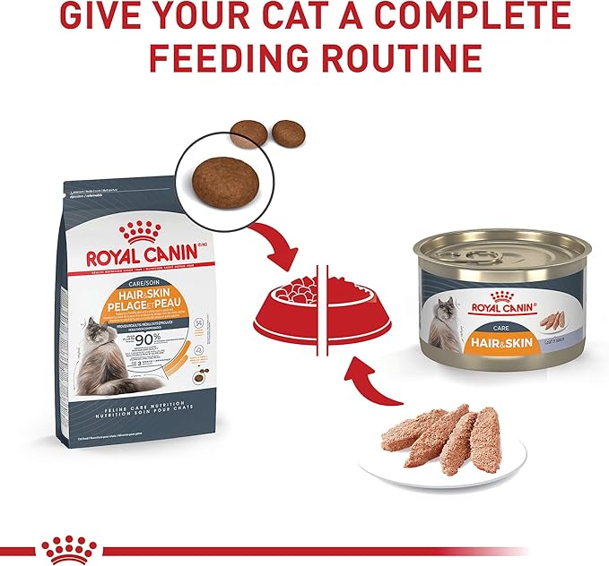 Royal Canin Feline Care Nutrition Hair & Skin Care Adult Loaf in Sauce Cat Food, 5.1 oz (Pack of 24)