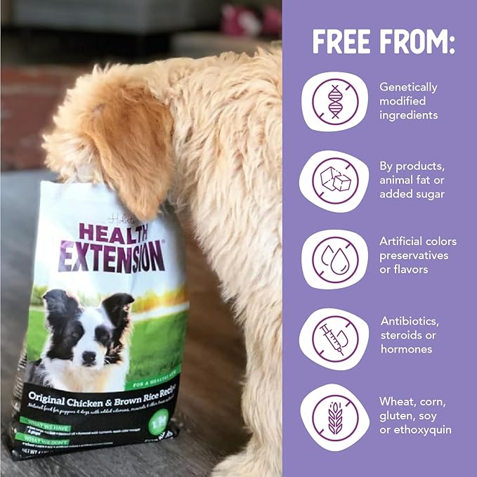 Health Extension Original Chicken & Brown Rice Dry Dog Food (4 lb / 1.81 kg) - Protein-Packed Formula with Probiotics, Omega 3 for Holistic Health in Dogs of All Life Stages