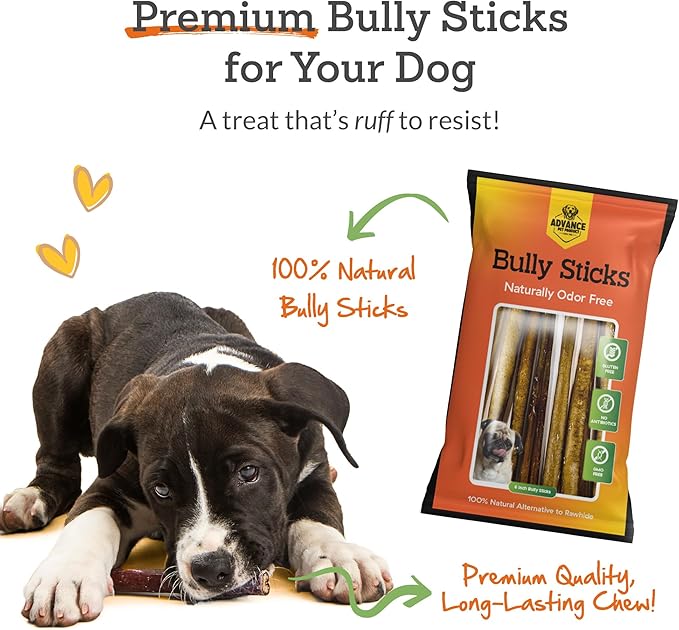 12 Inch Bully Sticks (Pack of 5) - 100% Beef, Odor Free Dog Chews for Aggressive Chewers - Long Lasting, Gluten-Free, Easy to Digest, High Protein - for Small, Medium, Large Dogs