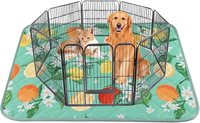 BVAGSS Washable Pee Pads for Dogs, 1 Pack Reusable Leakproof Puppy Wee Wee Pad, Non-Slip Waterproof Pet Training Pads, Super Absorbent Whelping Pads XH081 (Green Lemon, 63X63 Inch (Pack of 1))