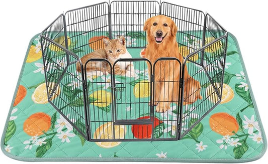 BVAGSS Washable Pee Pads for Dogs, 1 Pack Reusable Leakproof Puppy Wee Wee Pad, Non-Slip Waterproof Pet Training Pads, Super Absorbent Whelping Pads XH081 (Green Lemon, 63X63 Inch (Pack of 1))