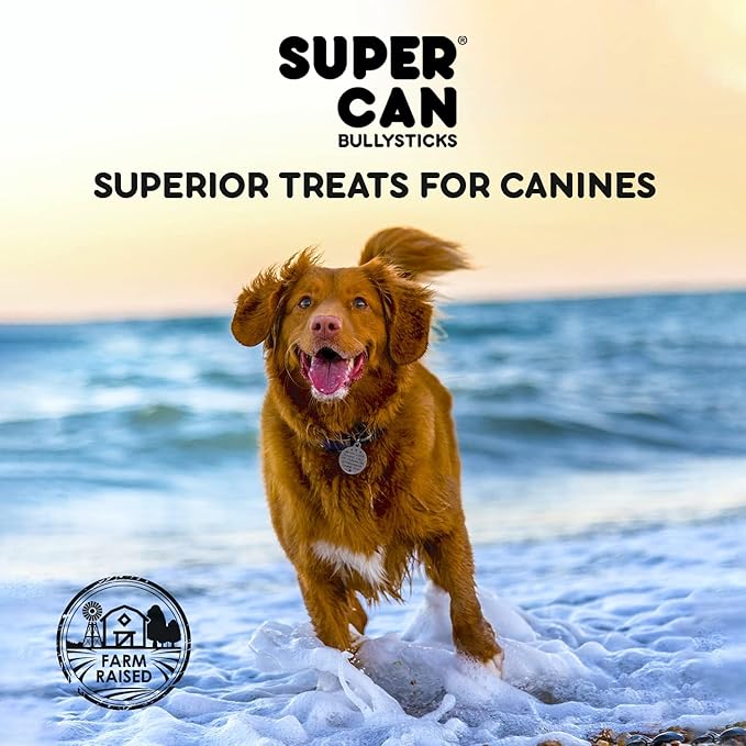 SUPER CAN BULLYSTICKS Bully Sticks for Dogs 6" Standard [25-Count] 100% Natural Dog Chews - Long Lasting Chew Medium Large Dogs - Free Range Grass Fed - Non GMO Beef - Treats for All Breeds