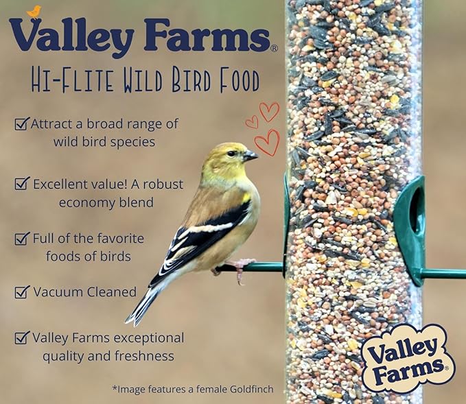 Valley Farms Hi-Flite Wild Bird Food (5 LB) Outside feeders, Bird Seed with Millet, Crack Corn, Black Oil Sunflower Seeds Birds, Economy Bird Seed for Outside Feeders, Birdseed