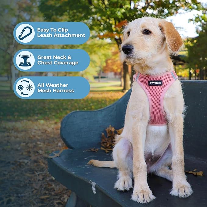 Voyager Step-in Air All Weather Mesh Harness and Reflective Dog 5 ft Leash Combo with Neoprene Handle, for Small, Medium and Large Breed Puppies by Best Pet Supplies - Harness Leash Set (Pink), M