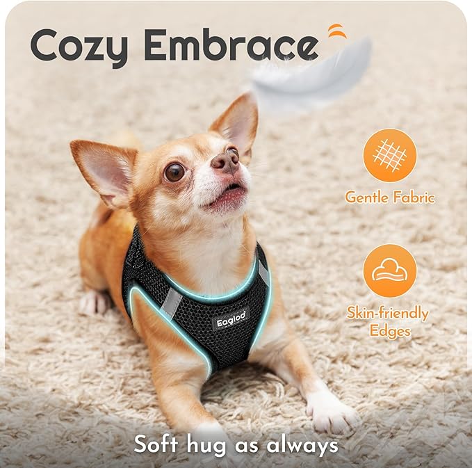 Eagloo Small Dog Harness and Leash Set, Step in Puppy Vest with Breathable Soft Mesh, Walking Reflective Pet Harness for Extra Small Dogs, Black, XXS