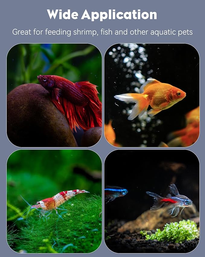 Pawfly Shrimp Feeding Dish with Suction Cup, Clear Acrylic Aquarium Shrimp Feeder, Fish Feeding Tray for Freshwater and Saltwater Tanks, Flower-Shaped