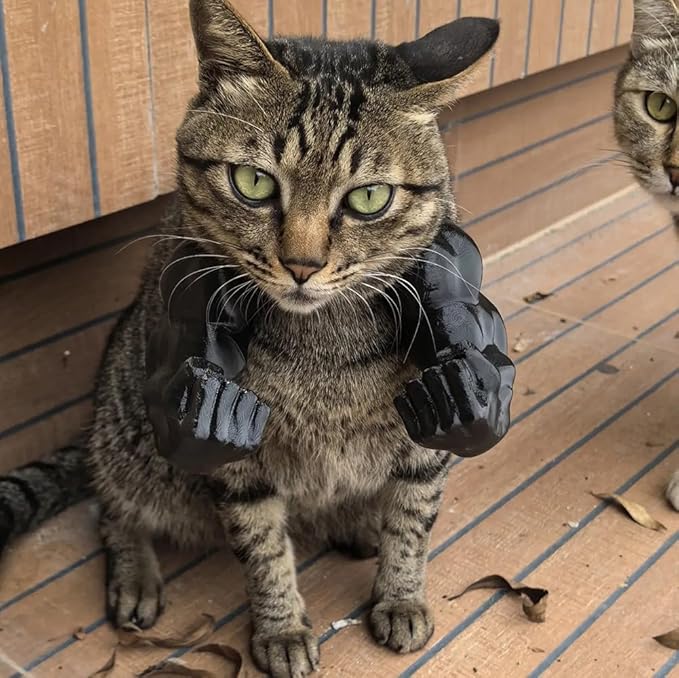 3D Printed Funny Cat Muscle Arms-Halloween Cosplay Pet Costume for Cats & Small Pets (Black)