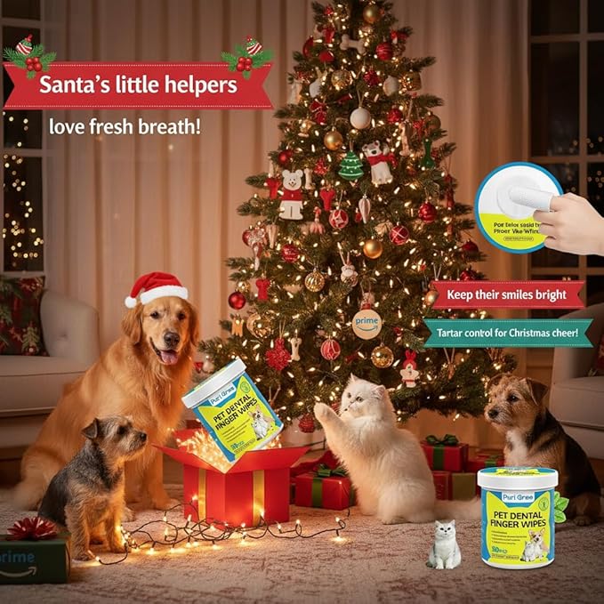 Teeth Cleaning Wipes for Dogs & Cats, Dog Dental Care Finger Wipes, Dog Tooth Brushing Kit, Reduces Plaque,Disposable Dog Wipes-50 Count