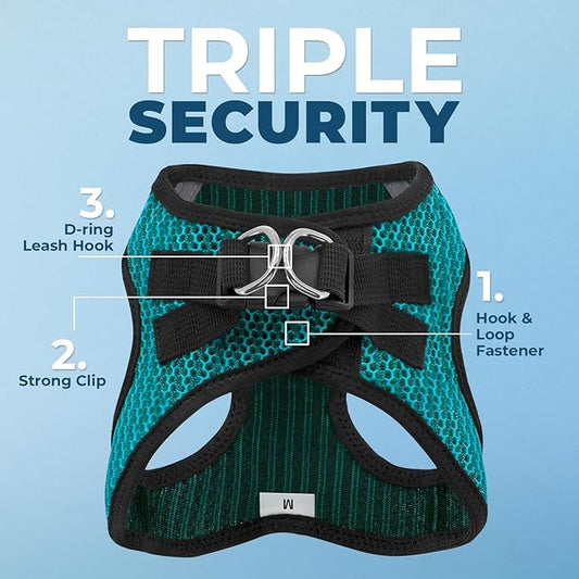 Voyager Step-in Air All Weather Mesh Harness and Reflective Dog 5 ft Leash Combo with Neoprene Handle, for Small, Medium and Large Breed Puppies by Best Pet Supplies - Turquoise, XL