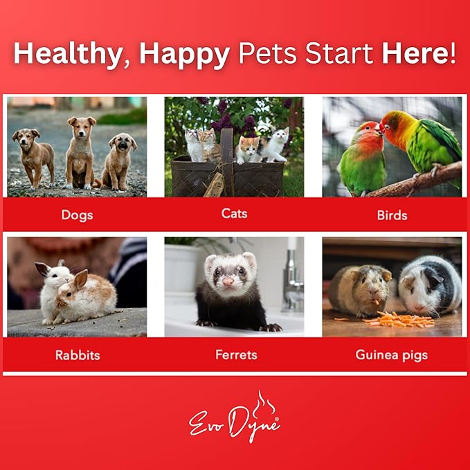 Styptic Powder for Dogs, Cats, and Birds (2 oz) by Evo Dyne | Fast-Acting Blood Stop for Pets | Quick Stop Bleeding Powder for Dog Nail Clipping, Grooming, Cuts and More (1-Pack)