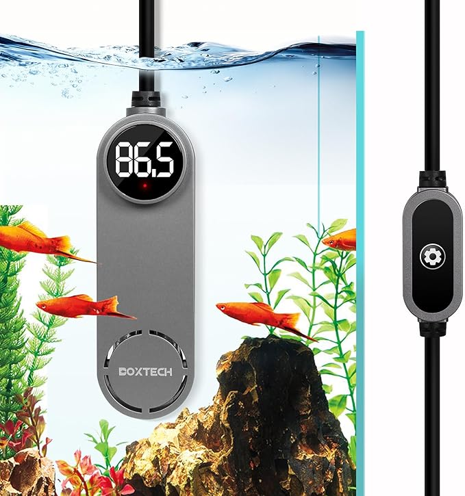 boxtech Betta Fish Tank Heater - Small Aquarium Heater 75w for Turtle Tank with Led Digital Display, External Temperature Controller for 8 to 17 Gallon Tanks