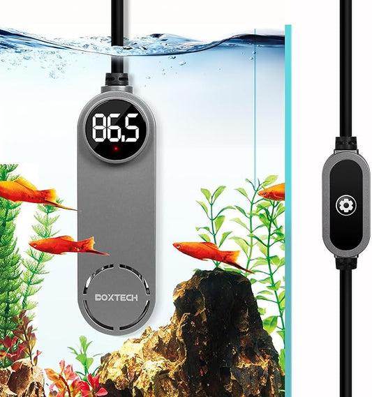 boxtech Betta Fish Tank Heater - Small Aquarium Heater 75w for Turtle Tank with Led Digital Display, External Temperature Controller for 8 to 17 Gallon Tanks