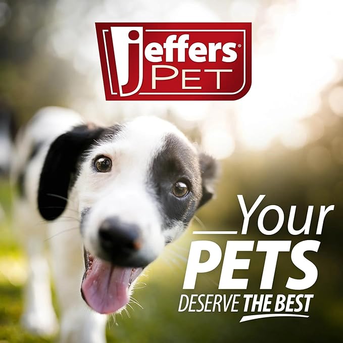 Jeffers Pet Plush Dog Toy with Squeaker, Christmas Snowman 6" - Soft Crinkle Fabric, Safe & Durable, Healthy Fun for Small & Medium Dogs, Interactive Play, Fetch, Tug - Best Gift for Active Games