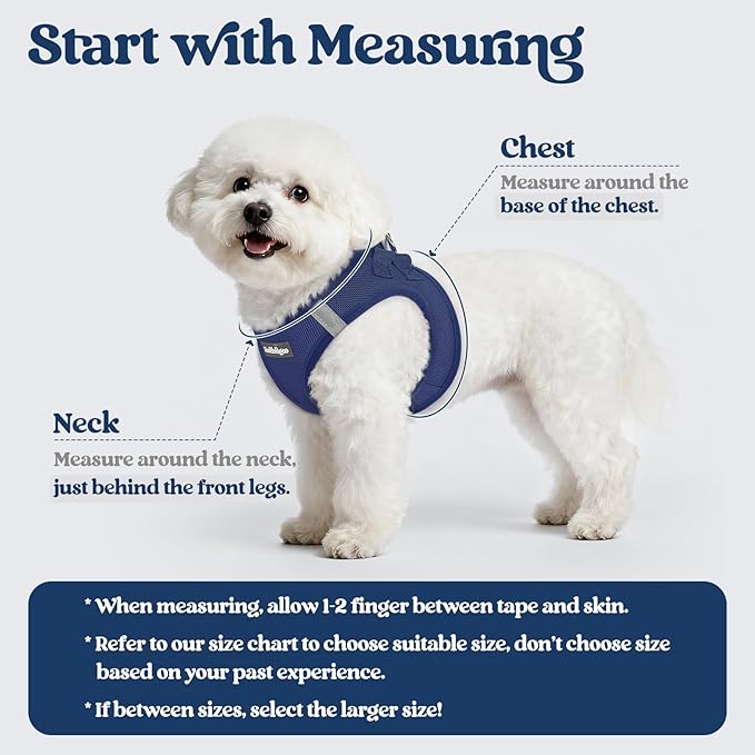 rabbitgoo Dog Harness Small Sized and Leash Set, Step in Soft Light Puppy Vest, Breathable Mesh Pet Harness, Reflective for Outdoor Safe Walking, Navy Blue XXL
