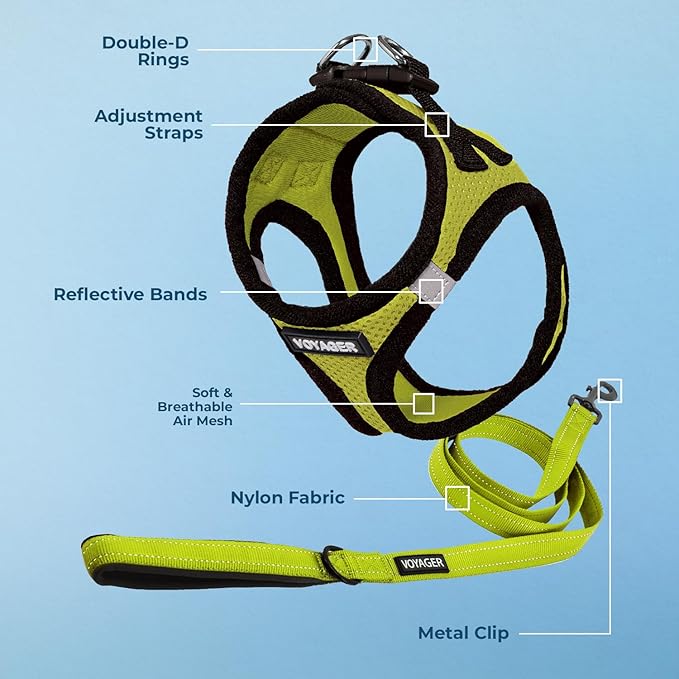 Voyager Step-in Air All Weather Mesh Harness and Reflective Dog 5 ft Leash Combo with Neoprene Handle, for Small, Medium and Large Breed Puppies by Best Pet Supplies - Lime/Black Trim, Small